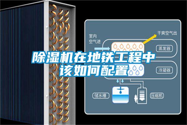 粉色视频免费在线观看在地铁工程中该如何配置