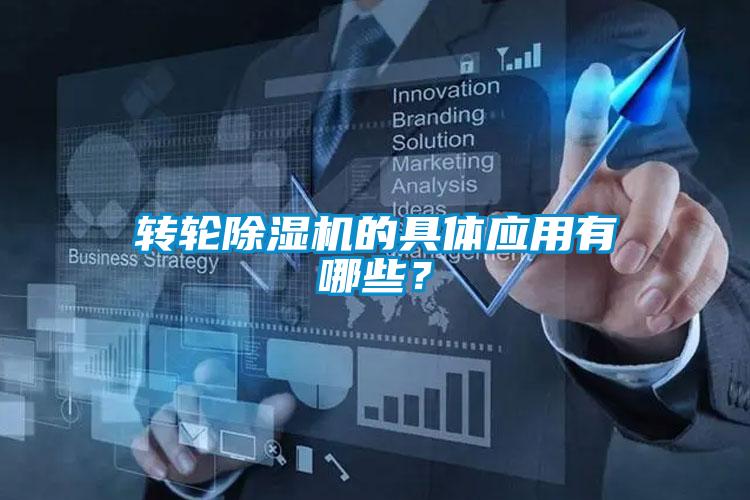 转轮粉色视频免费在线观看的具体应用有哪些？