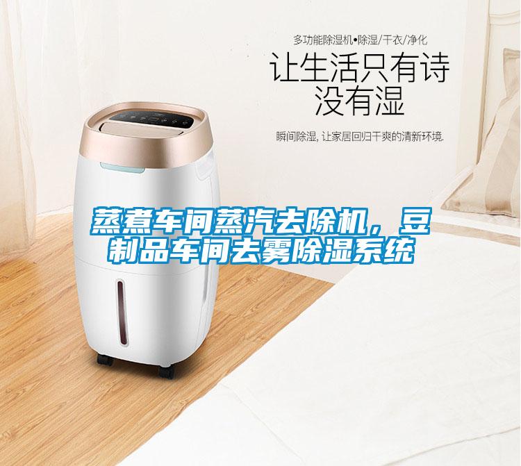 蒸煮车间蒸汽去除机，豆制品车间去雾除湿系统