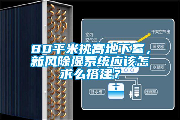 80平米挑高地下室，新风除湿系统应该怎求么搭建？