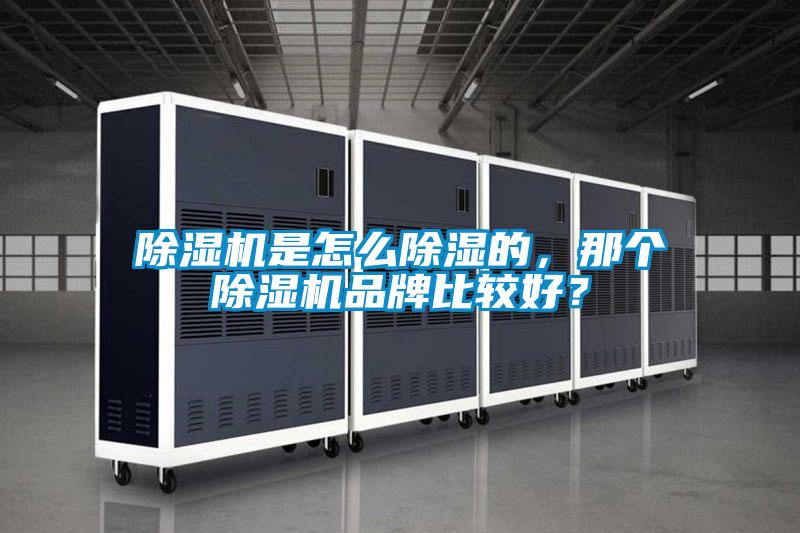 粉色视频免费在线观看是怎么除湿的，那个粉色视频免费在线观看品牌比较好？
