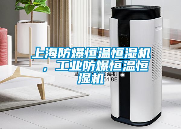 上海防爆恒温恒湿机 ，工业防爆恒温恒湿机