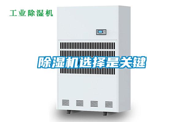 粉色视频免费在线观看选择是关键