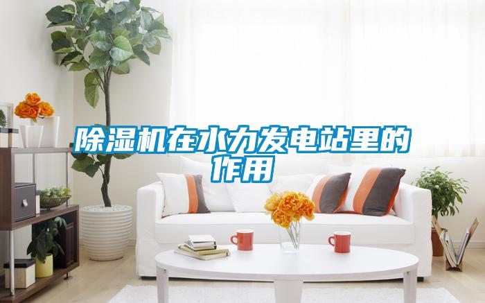 粉色视频免费在线观看在水力发电站里的作用