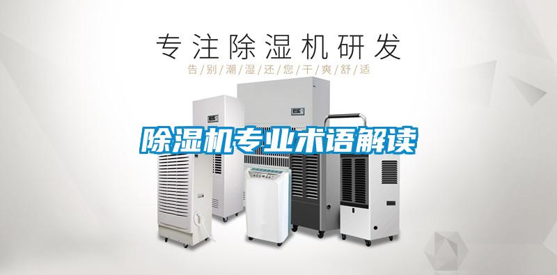 粉色视频免费在线观看专业术语解读