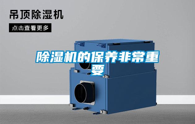 粉色视频免费在线观看的保养非常重要