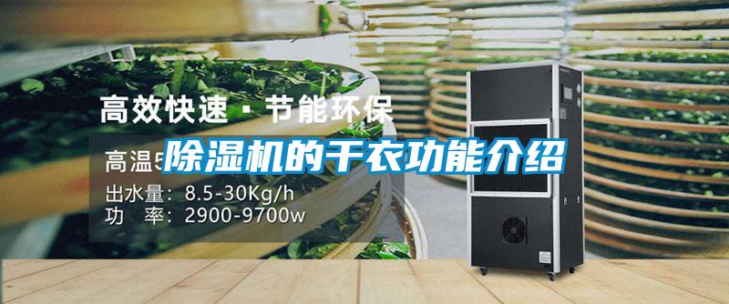粉色视频免费在线观看的干衣功能介绍