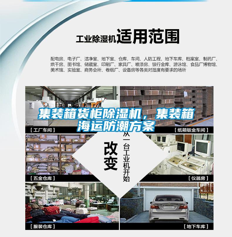 集装箱货柜粉色视频免费在线观看，集装箱海运防潮方案