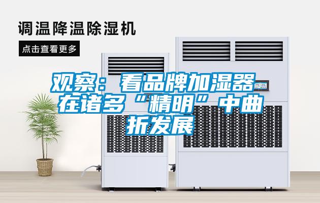 观察：看品牌加湿器 在诸多“精明”中曲折发展