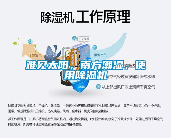 难见太阳，南方潮湿，使用粉色视频免费在线观看