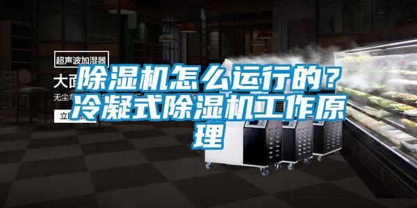 粉色视频免费在线观看怎么运行的？冷凝式粉色视频免费在线观看工作原理