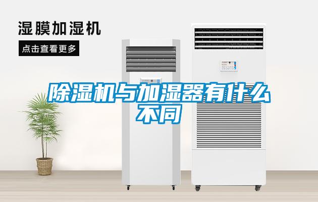粉色视频免费在线观看与加湿器有什么不同