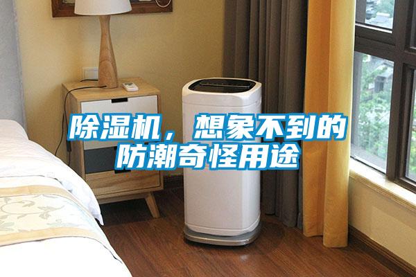 粉色视频免费在线观看，想象不到的防潮奇怪用途