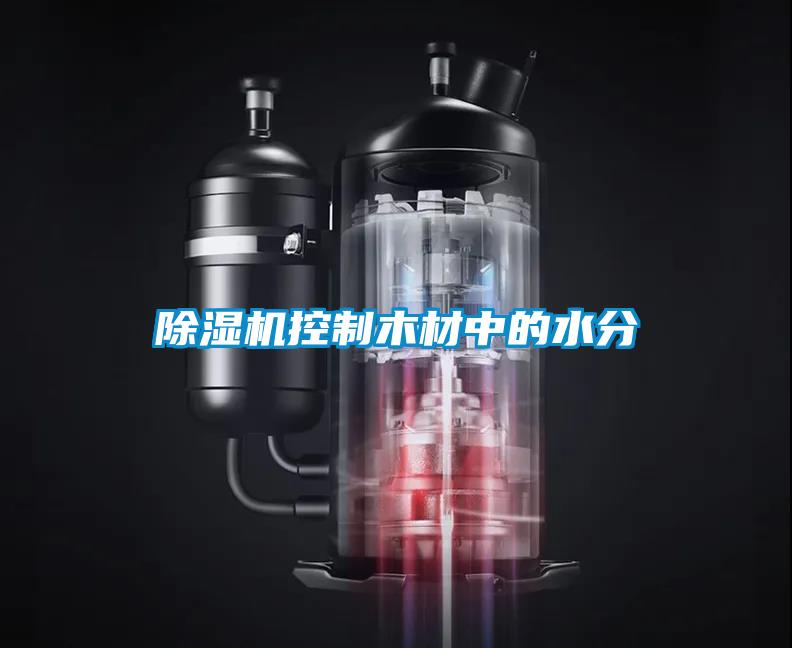 粉色视频免费在线观看控制木材中的水分