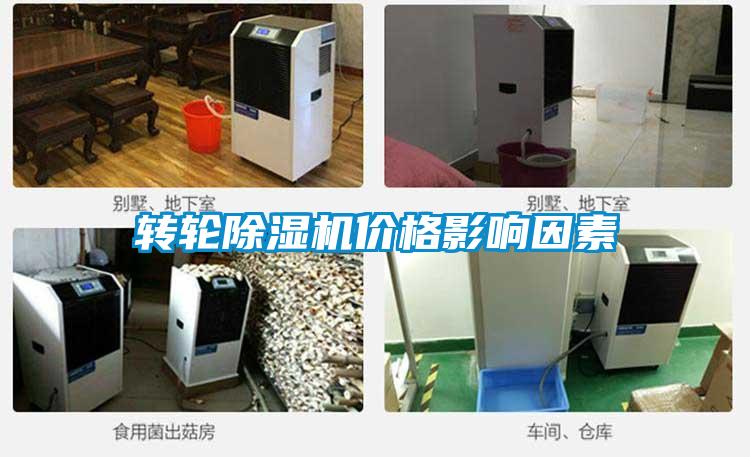 转轮粉色视频免费在线观看价格影响因素