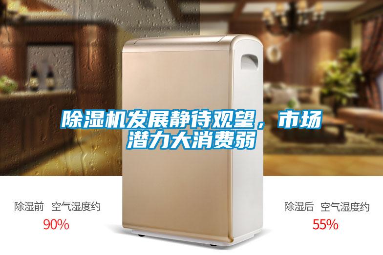 粉色视频免费在线观看发展静待观望，市场潜力大消费弱