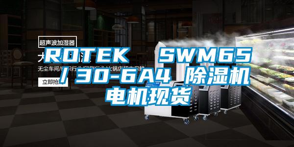 ROTEK  SWM65／30-6A4 粉色视频免费在线观看电机现货