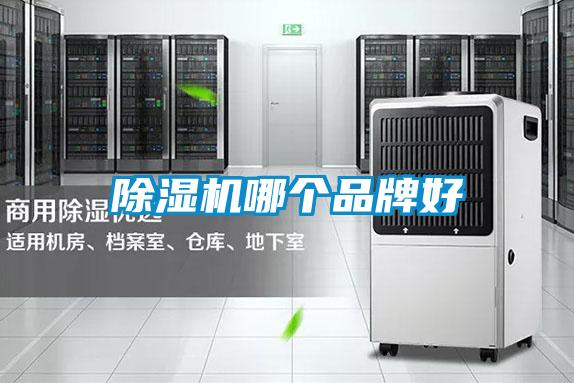粉色视频免费在线观看哪个品牌好