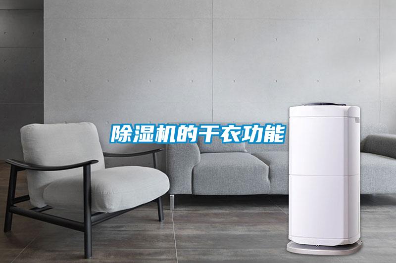 粉色视频免费在线观看的干衣功能