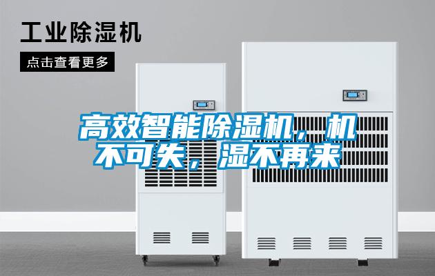 高效智能粉色视频免费在线观看，机不可失，湿不再来