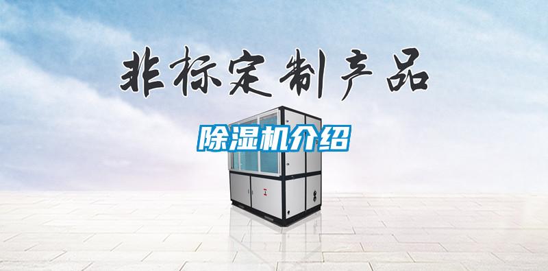 粉色视频免费在线观看介绍