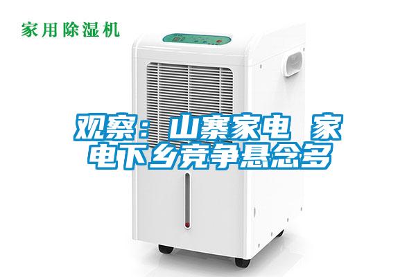 观察：山寨家电 家电下乡竞争悬念多