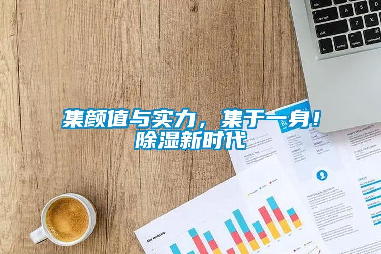 集颜值与实力，集于一身！除湿新时代