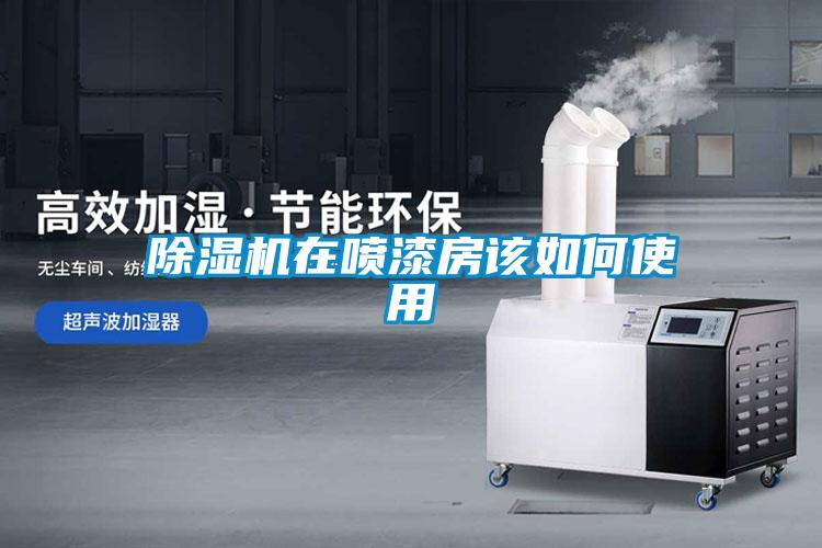 粉色视频免费在线观看在喷漆房该如何使用