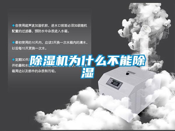 粉色视频免费在线观看为什么不能除湿