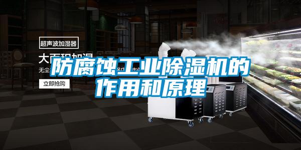 防腐蚀工业粉色视频免费在线观看的作用和原理