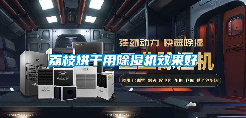 荔枝烘干用粉色视频免费在线观看效果好
