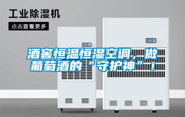 酒窖恒温恒湿空调，做葡萄酒的“守护神”！