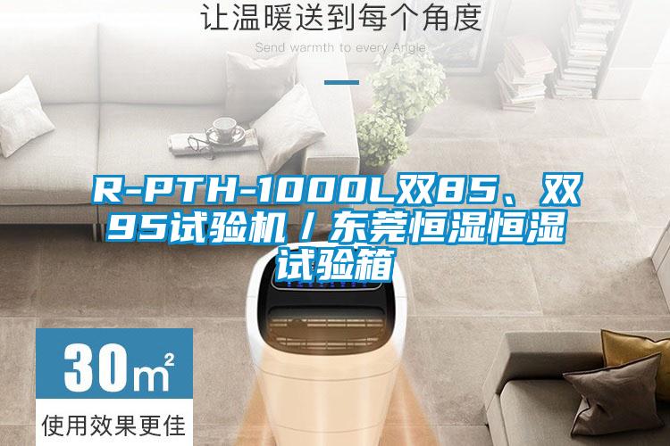 R-PTH-1000L双85、双95试验机／东莞恒湿恒湿试验箱
