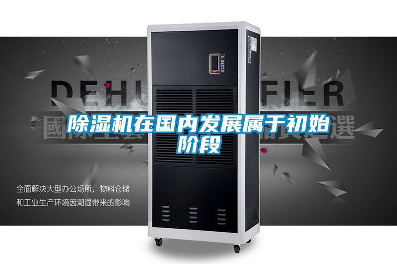 粉色视频免费在线观看在国内发展属于初始阶段