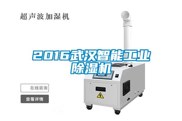 2016武汉智能工业粉色视频免费在线观看