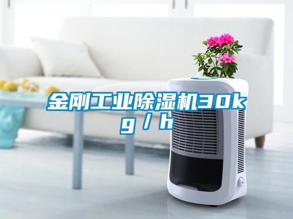 金刚工业粉色视频免费在线观看30kg／h