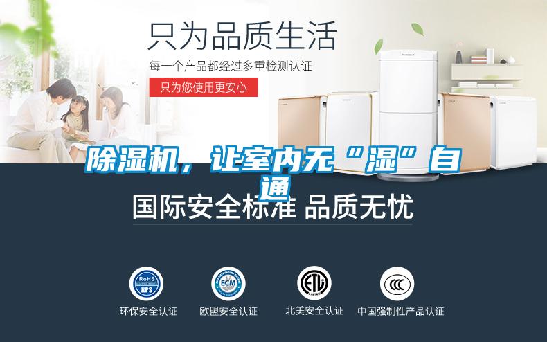 粉色视频免费在线观看，让室内无“湿”自通