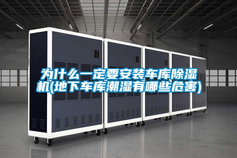 为什么一定要安装车库粉色视频免费在线观看(地下车库潮湿有哪些危害)