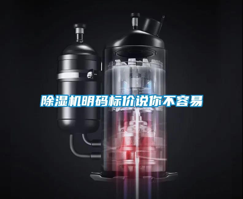 粉色视频免费在线观看明码标价说你不容易