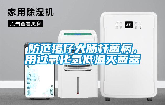防范猪仔大肠杆菌病，用过氧化氢低温灭菌器