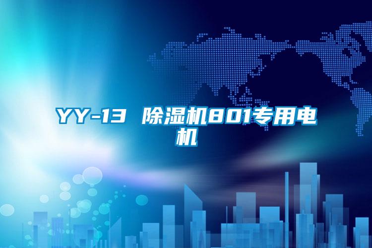 YY-13 粉色视频免费在线观看801专用电机