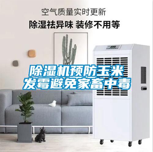 粉色视频免费在线观看预防玉米发霉避免家畜中毒