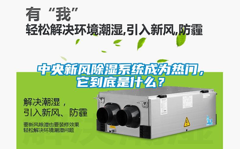 中央新风除湿系统成为热门，它到底是什么？