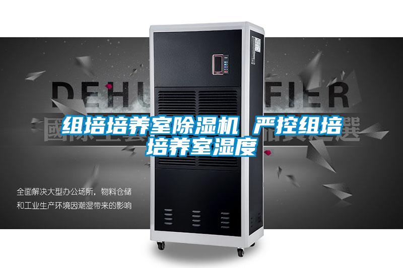 组培培养室粉色视频免费在线观看 严控组培培养室湿度