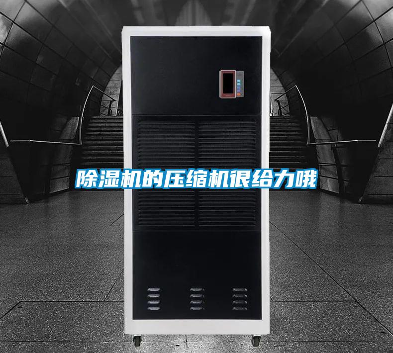 粉色视频免费在线观看的压缩机很给力哦