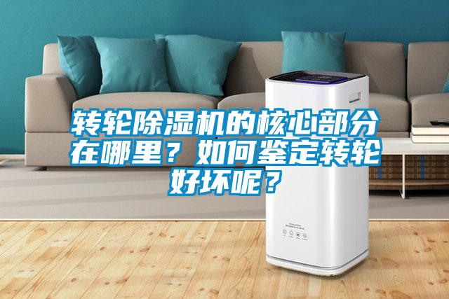 转轮粉色视频免费在线观看的核心部分在哪里？如何鉴定转轮好坏呢？