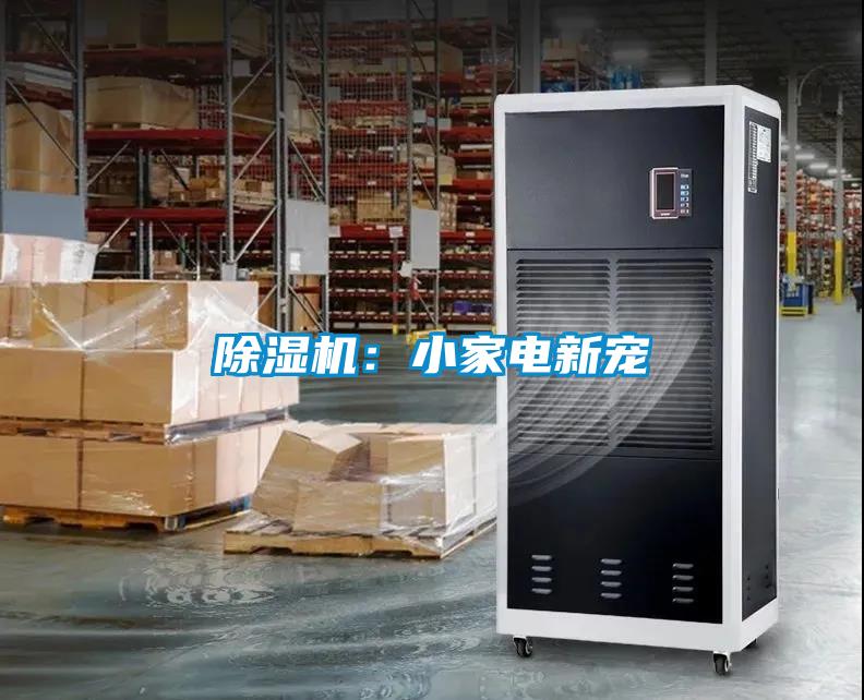 粉色视频免费在线观看：小家电新宠