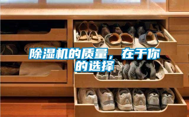 粉色视频免费在线观看的质量，在于你的选择