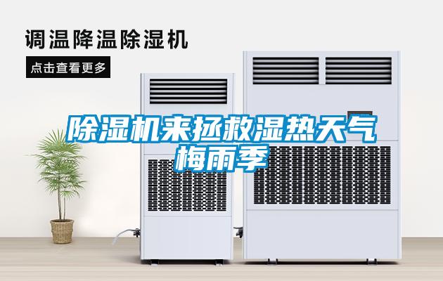 粉色视频免费在线观看来拯救湿热天气梅雨季