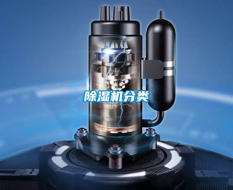 粉色视频免费在线观看分类